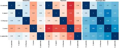 NCMW: A Python Package to Analyze Metabolic Interactions in the Nasal Microbiome